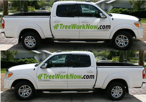 tree work now